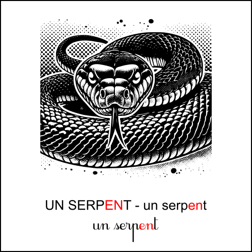 Graphie en